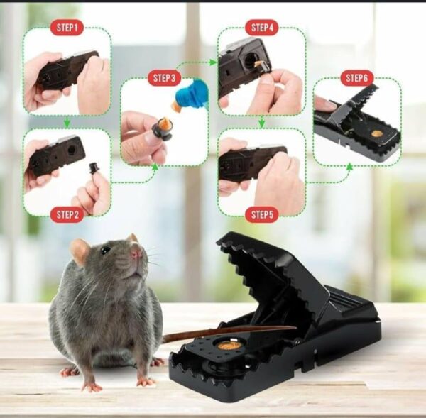 Mouse Trap - Image 2